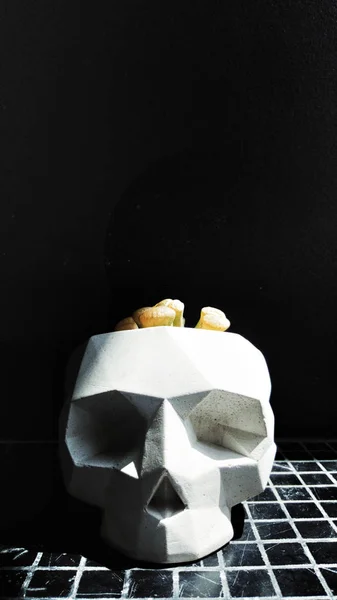 白い頭蓋骨 黒のモザイク模様の床に植木鉢 鍋の形をした白い頭蓋骨で太陽光が差し込む — ストック写真