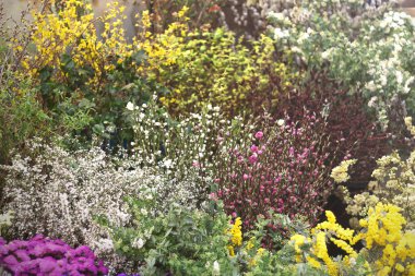 Çiçekçide düzenlenmiş birçok çiçek buketi.