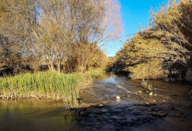 Dağda çok soğuk bir sabah suyu buharlaşan nehir.