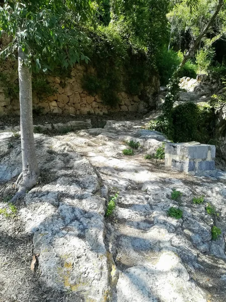 Blick Auf Die Natürliche Landschaft Mit Einer Steinmauer Boden Mit — Stockfoto