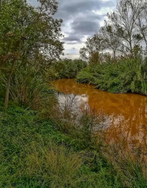 Río Del Entorno Natural Clot Con Agua Cargada Sedimentos Después — Foto de Stock