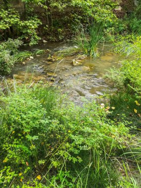 Segorbe geçerken bir sürü bitki örtüsü Palancia nehir görüntülemek