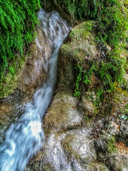 View Small Waterfall Natural Landscape Floresta Village Viver — Stock Photo, Image