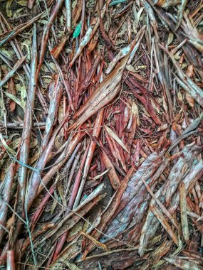 Düşen yapraklar yeşil ve kahverengi tonlarında arka plan