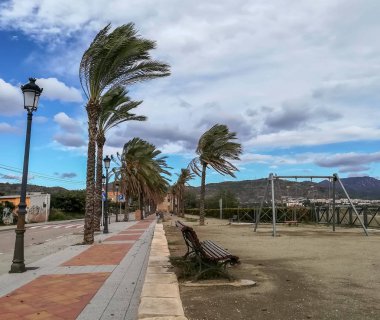 Boş park palmiye ağacı ile hareket ettirildiğinde bırakır