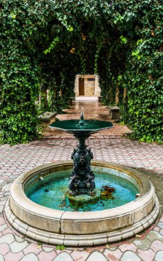 Bitkilerle kaplı bir yapı ile antik çeşme