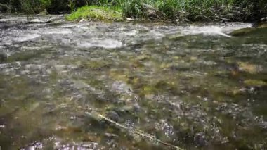 Palancia nehir suyu akan