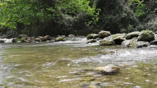 Річкова Вода Протікає Через — стокове відео