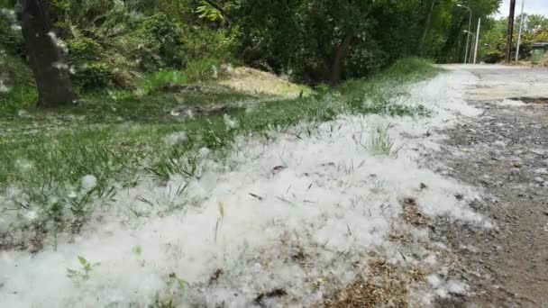 Paysage printanier sur le lit de la rivière Palancia en passant par Segorbe 
