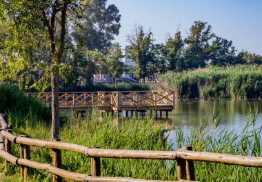 Kuş gözlemciliği için iskele