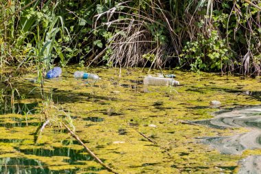 El Clot yerine Çöp