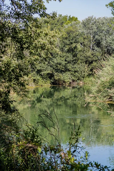 池塘里的视图 — 图库照片