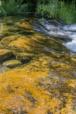 Palancia nehri manzarası