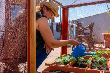 Hasır şapkalı kızıl saçlı kadın evin terasında ağ ile korunan şehir bahçesiyle ilgileniyor. Sağlıklı yaşam konsepti