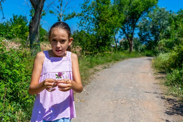 Pretty Little Girl Picking Flower Path Surrounded Nature Healthy Life — Stock Photo, Image