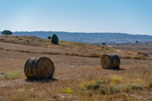 Veld Met Balen Tarwe Drogen Bergen Gezond Leven — Stockfoto