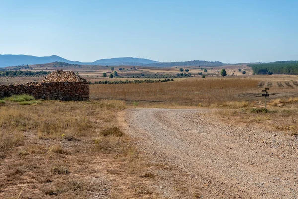 Veld Met Balen Tarwe Drogen Bergen Gezond Leven — Stockfoto