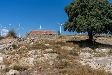 Dağlık arazi, rüzgar enerjisi değirmenleriyle kırsal yaşamı yenilenebilir teknolojilerle harmanlıyor. Sağlıklı yaşam konsepti