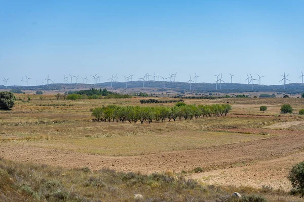 Berglandschap Met Windmolens Die Het Plattelandsleven Combineren Met Hernieuwbare Technologieën — Stockfoto