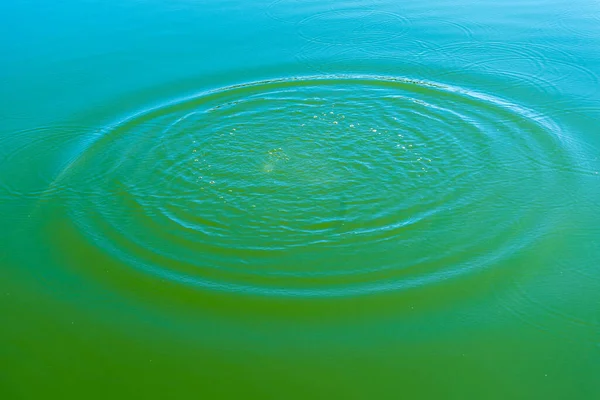 抛掷石头在水里造成的膨胀波 运动概念 — 图库照片