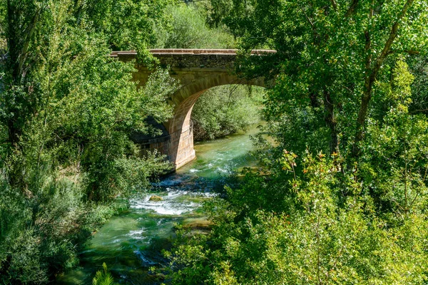 View River Mijares Heavily Populated Forest Crossed Old Stone Bridge — Stock Photo, Image