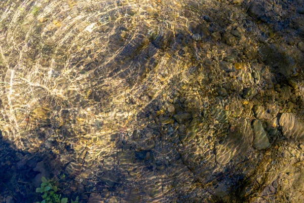抛掷石头在水里造成的膨胀波 运动概念 — 图库照片