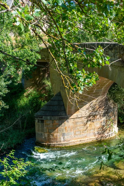 Mijares Nehri 'nin yoğun nüfuslu bir ormandan geçişi ve eski bir taş köprünün geçişi. Doğa konsepti. Seçici odak