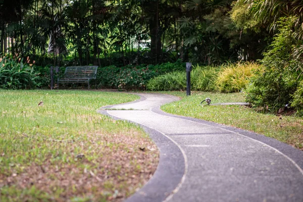 S curve walking pathway in the garden. Business and the path to success concept.