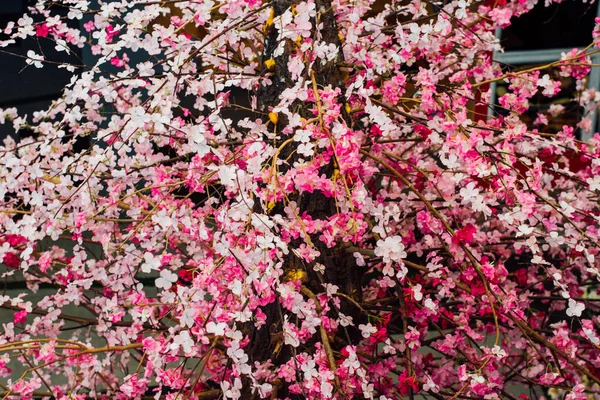 Gros Plan Plastique Sakura Fleur Cerisier Arbre Dans Grand Magasin — Photo