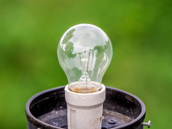 Closeup light bulb with green blurred nature background.