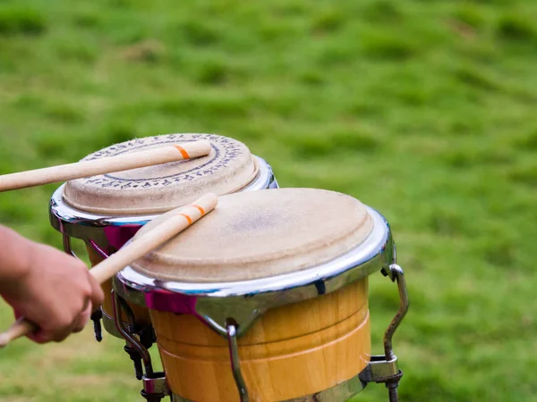 Close up drummer hands playing percussion Bongo drums with drumsticks in green nature background.