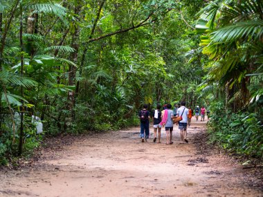 Krabi, Tayland - 27 Mayıs 2018: Emerald Havuzu (Sra Morakot) çok sayıda turist bir havuza yürüyüş ile Krabi ili.