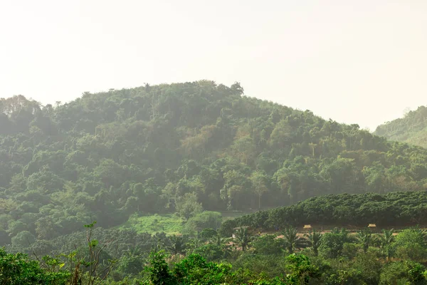 Vista Paisagem Montanha Província Rayong Tailândia Floresta Perene Seca Coberta — Fotografia de Stock