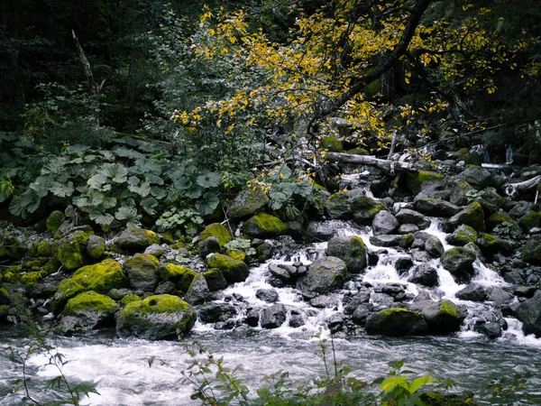 Rock Bedekt Met Mos Rivier Die Stroomt Berg Uit Ryu — Stockfoto