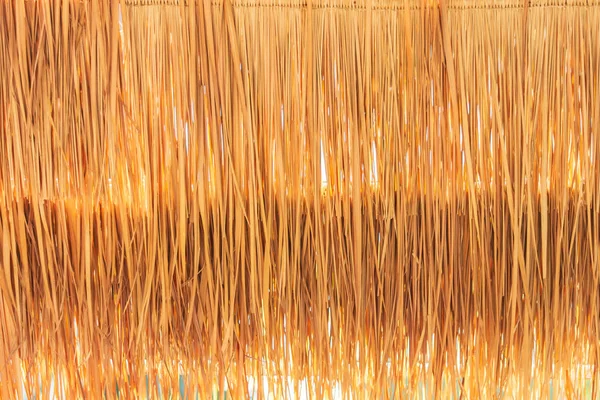 Closeup Gramíneas Douradas Telhado Palha Para Papel Parede — Fotografia de Stock