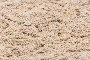 Asker yengeç (Mictyris longicarpus) tarafından kumsalda yapılan yakın çekim şekilli kum. Boşluk duvar kağıdını kopyala.
