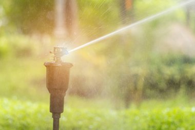 Şehir parkında otomatik bahçe sulama sistemi. Su tasarrufu kavramı.