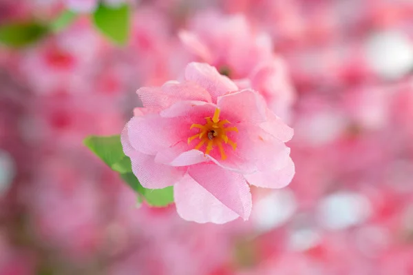 Κοντινό Πλάνο Πολύχρωμη Διακόσμηση Ροζ Τεχνητά Άνθη Κερασιάς Επιλεκτική Ταπετσαρία — Φωτογραφία Αρχείου