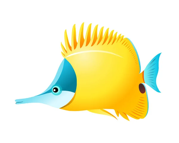 Forcipiger Longirostris Cornutus Aquarium Tropical Fish — Stock Vector