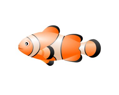 palyaço balık akvaryum tropikal balık