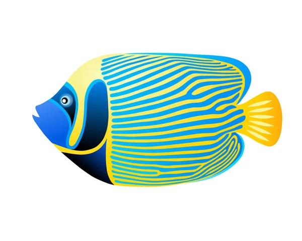 Pomacanthus Imperator Tropical Fish — стоковый вектор