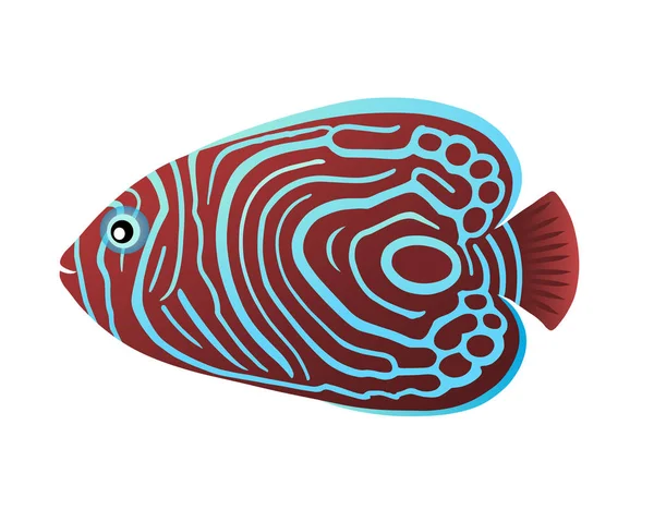 Kejserliga Fisk Ängel Akvarium Tropiska Fiskar — Stock vektor