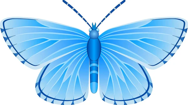 Albulina Orbitulus Niebieski Motyl Wektor Obraz Projektowania Stron Internetowych Druku — Wektor stockowy