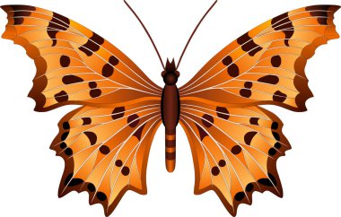 Web tasarım ve baskı için Polygonia kelebek vektör görüntü