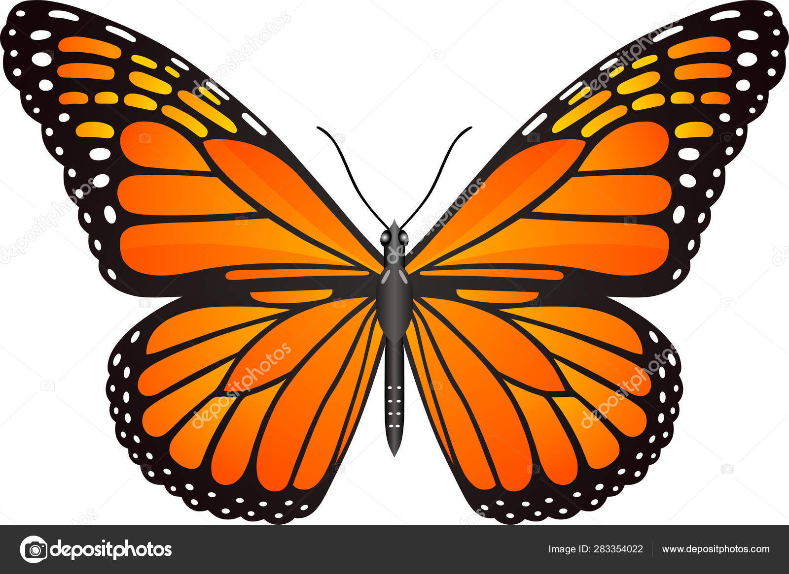 Danaus Butterfly Vector Image Web Design Print Stock Illustration by ©ydragomirova@gmail.com #283354022