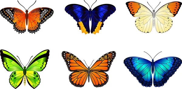 Butterflies Wektor Obraz Projektowania Stron Internetowych Druku — Wektor stockowy
