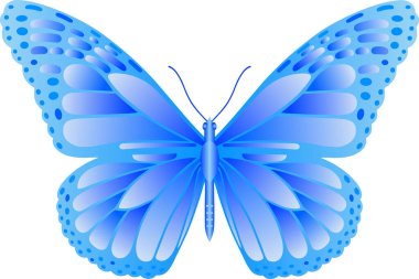 Web tasarımı ve yazdırımı için Danaus pleksippus kelebek vektör görüntüsü