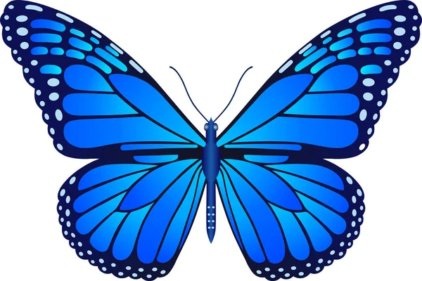Danaus Plexippus Motyl Wektor Obrazu Projektowania Drukowania Stron Internetowych — Zdjęcie stockowe