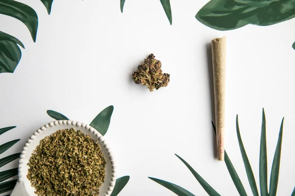 Marihuany Bud Spoj Sedí Tropickou Zeleň Pozadí Minimalistický Konopí — Stock fotografie