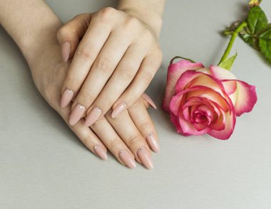 El ile yapay Fransız manikürlü tırnaklar ve pembe gül çiçek, şık moda kadın pembe manikür.